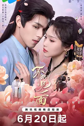 不如见一面封面图