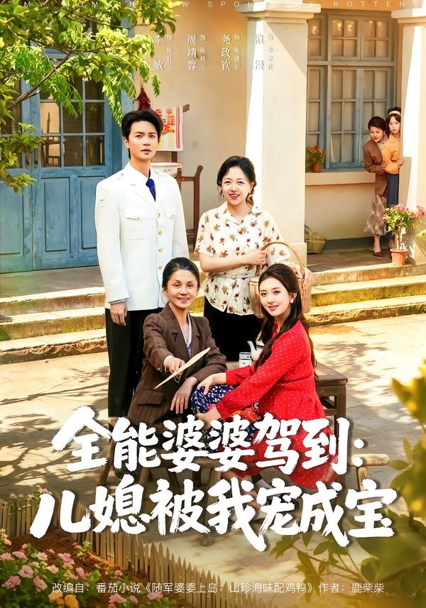全能婆婆驾到：儿媳被我宠成宝封面图