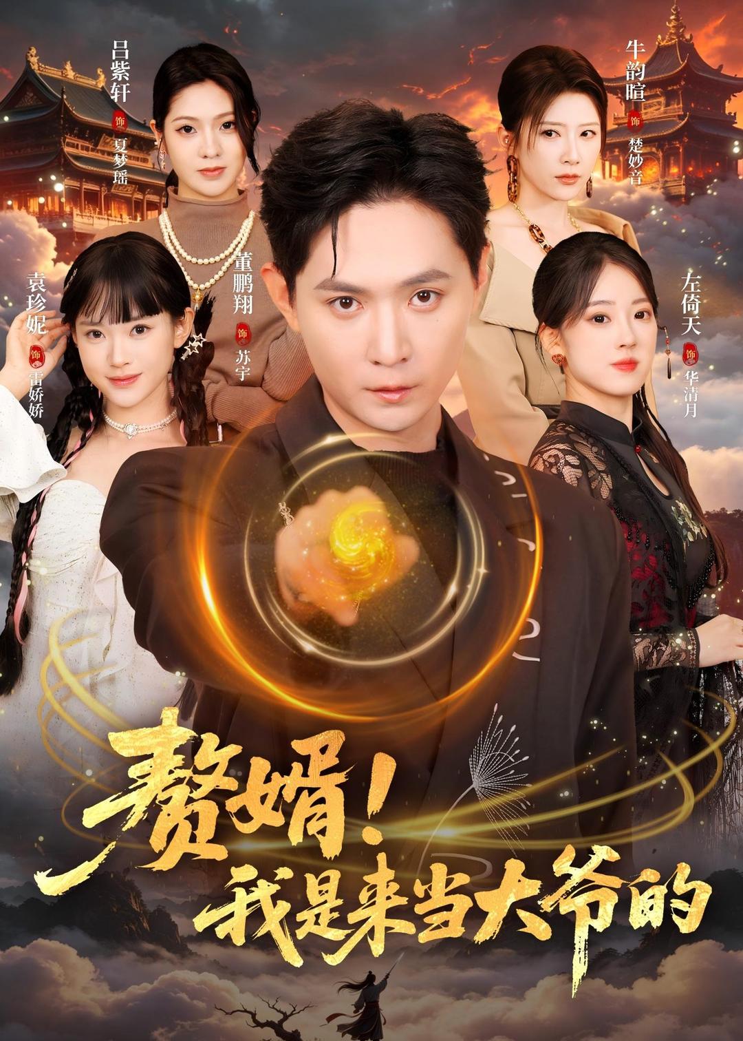赘婿！我是来当大爷的封面图