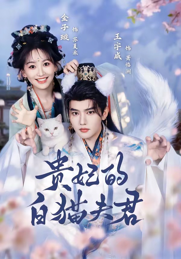 贵妃的白猫夫君封面图