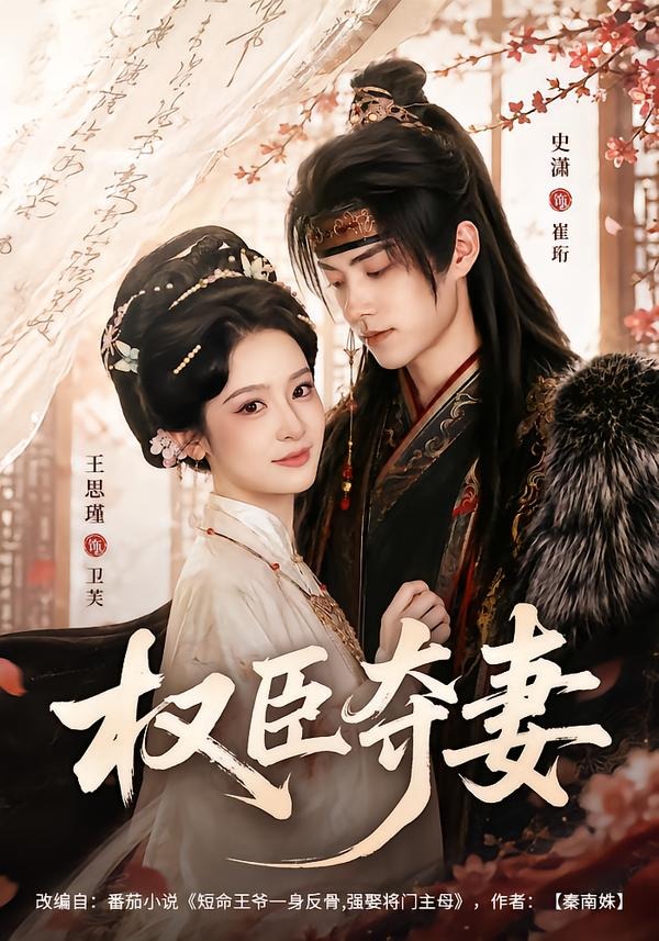 权臣夺妻封面图