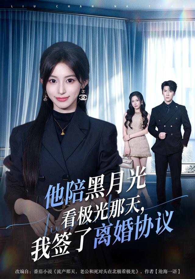 他陪黑月光看极光那天,我签了离婚协议封面图